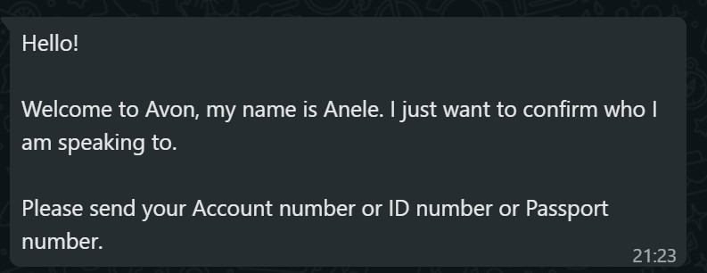 Using the Anele Avon bot